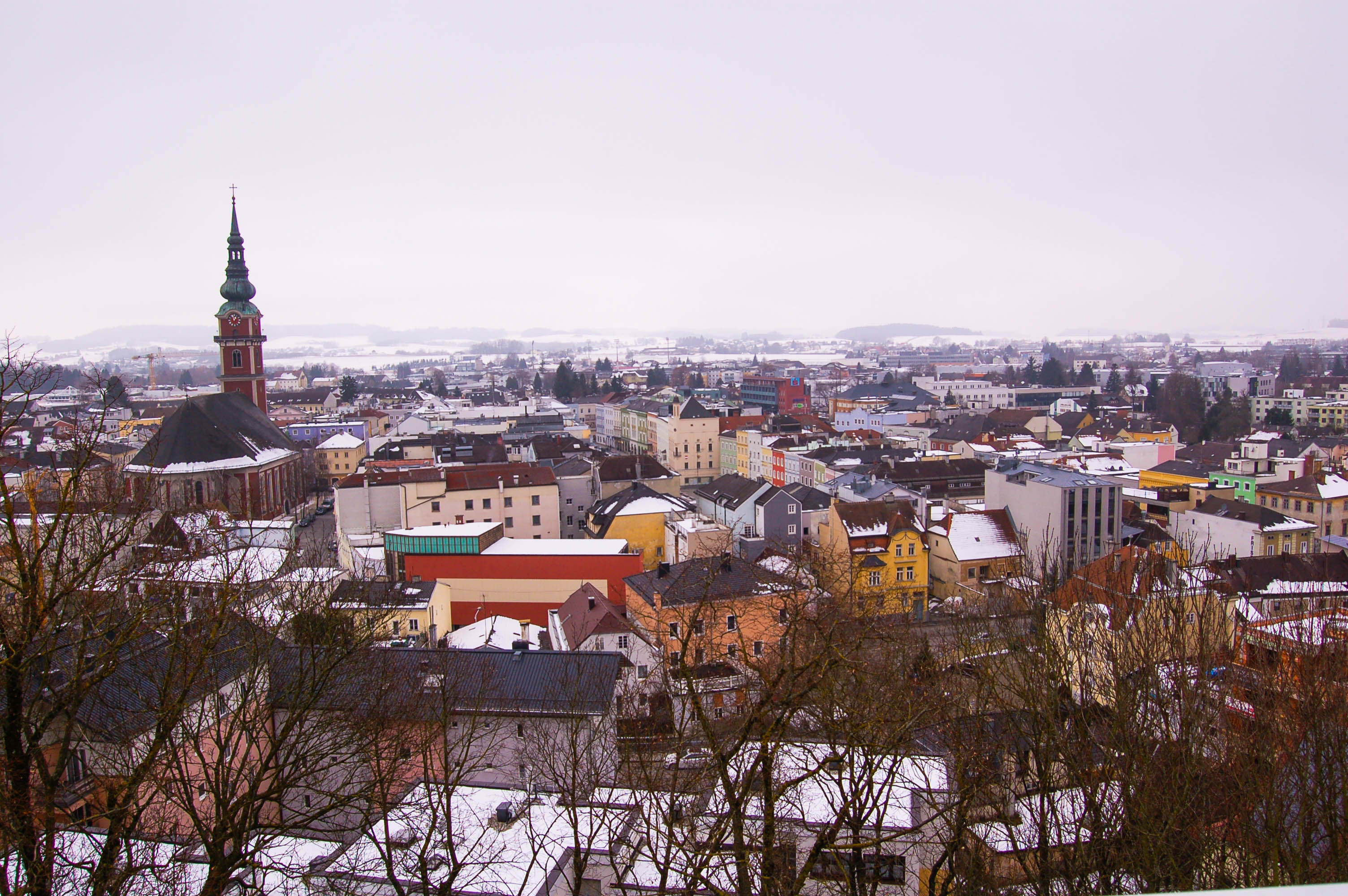 studymed MedAT Vorbereitungskurs Ried im Innkreis 2015