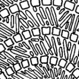 Keine Beschreibung für dieses Bild gefunden.