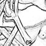 Keine Beschreibung für dieses Bild gefunden.