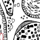 Keine Beschreibung für dieses Bild gefunden.