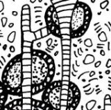 Keine Beschreibung für dieses Bild gefunden.