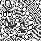 Keine Beschreibung für dieses Bild gefunden.