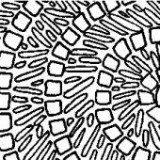 Keine Beschreibung für dieses Bild gefunden.