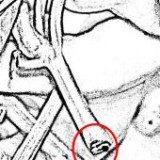 Keine Beschreibung für dieses Bild gefunden.