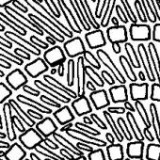 Keine Beschreibung für dieses Bild gefunden.