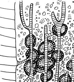 Keine Beschreibung für dieses Bild gefunden.