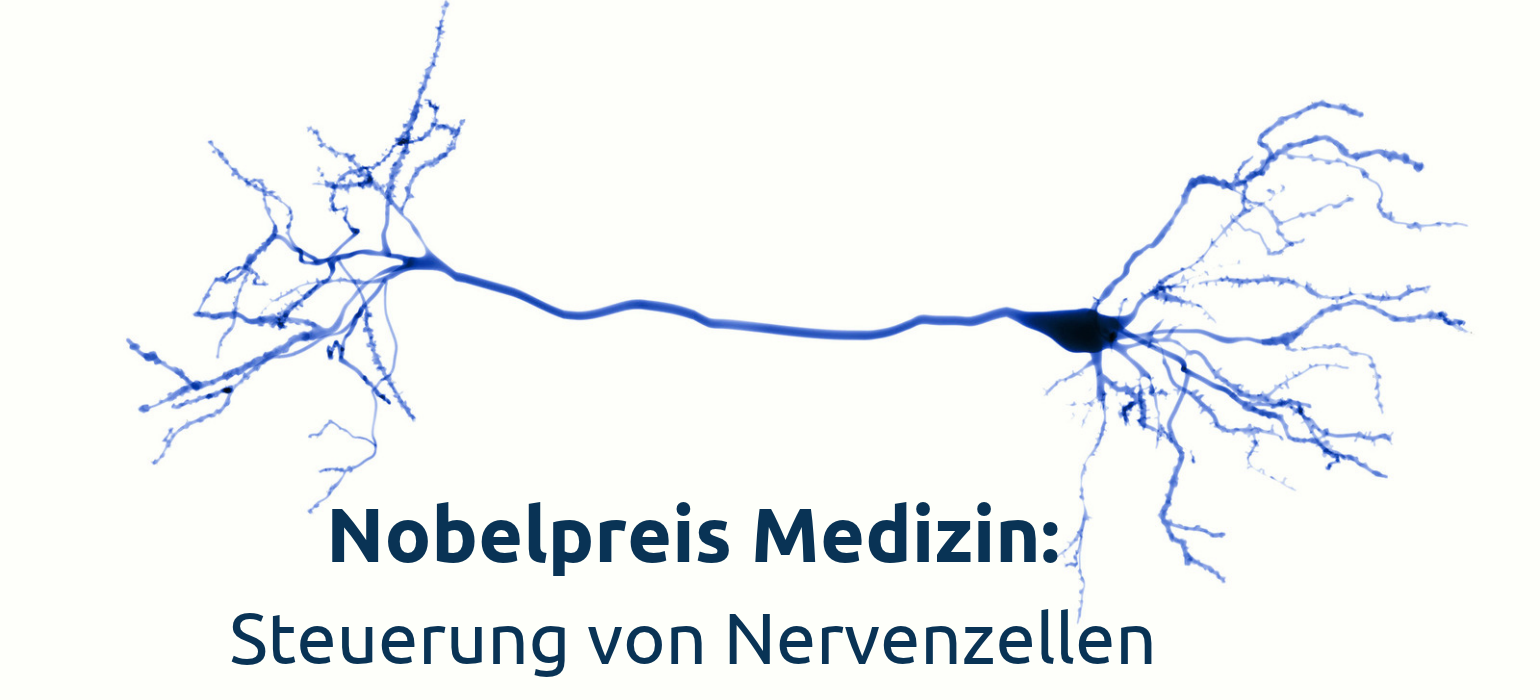 Keine Beschreibung für dieses Bild gefunden.
