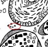 Keine Beschreibung für dieses Bild gefunden.