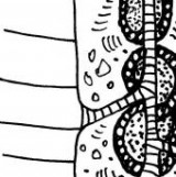 Keine Beschreibung für dieses Bild gefunden.