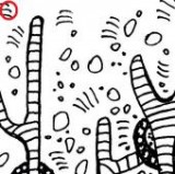 Keine Beschreibung für dieses Bild gefunden.