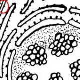 Keine Beschreibung für dieses Bild gefunden.