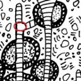 Keine Beschreibung für dieses Bild gefunden.