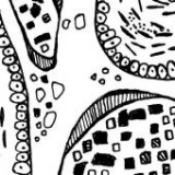 Keine Beschreibung für dieses Bild gefunden.