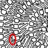 Keine Beschreibung für dieses Bild gefunden.