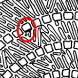 Keine Beschreibung für dieses Bild gefunden.