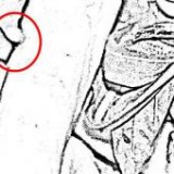 Keine Beschreibung für dieses Bild gefunden.