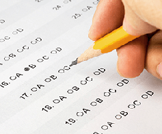 Stilelement, Multiple Choice Test